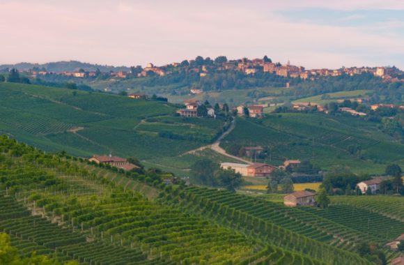An Introduction To: Piedmont