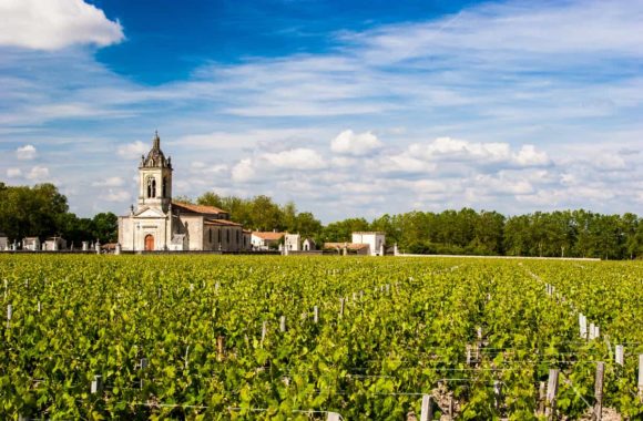 A guide to the Saint-Estèphe wine region