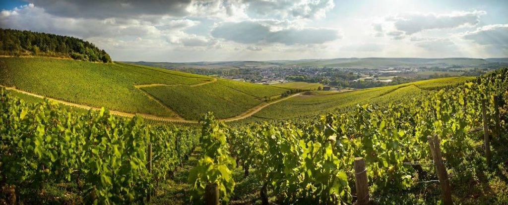 A guide to the Chablis wine region