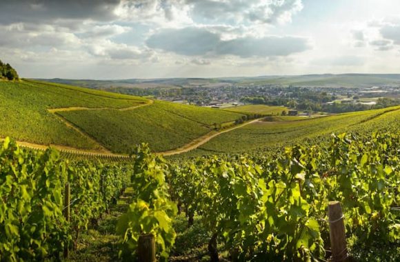 A guide to the Chablis wine region