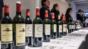 A line up of Bordeaux wine bottles at a tasting