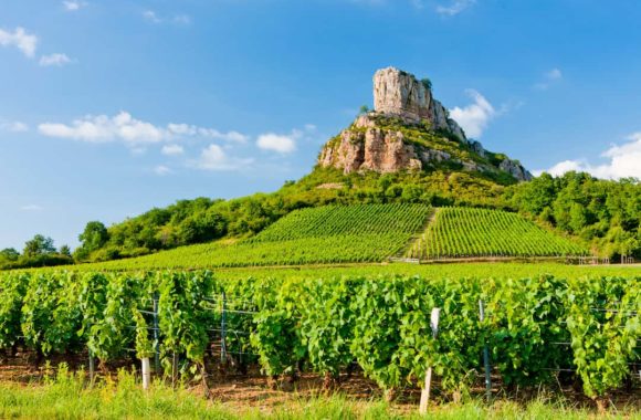 A guide to the Mâconnais wine region