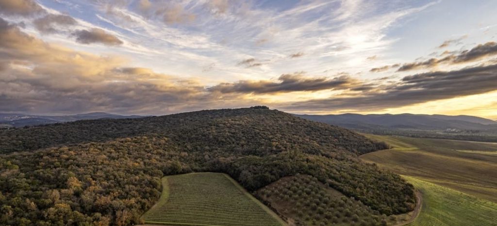 Tuscany wine regions: the Maremma