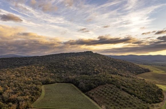 Tuscany wine regions: the Maremma