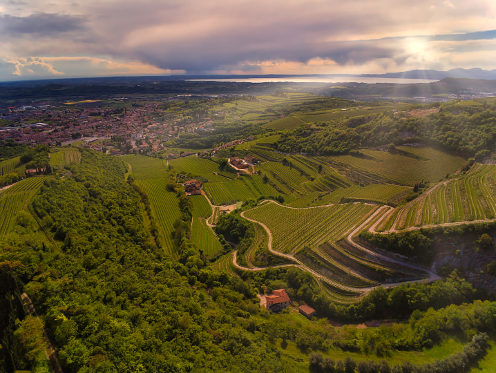 Veneto red wines: a modern-day transformation