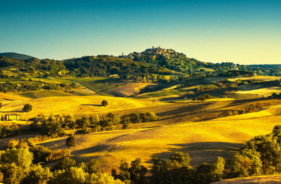 Two Tuscan giants: Brunello and Vino Nobile