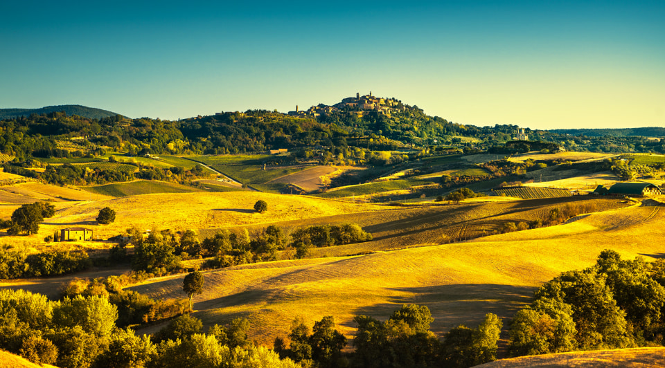 Two Tuscan giants: Brunello and Vino Nobile