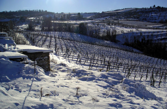 Buying the best of Chianti