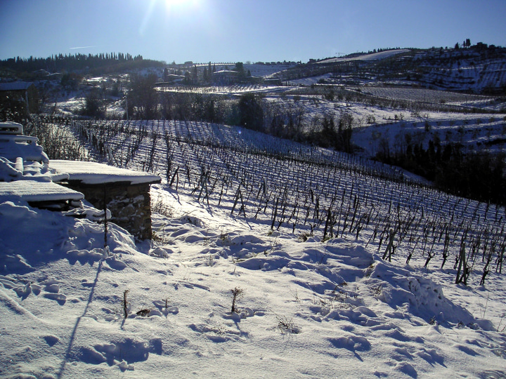 Buying the best of Chianti