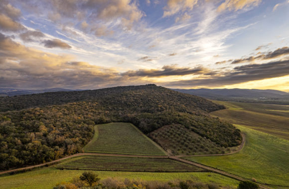 A guide to Maremma Toscana wine