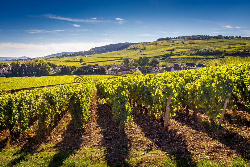 A guide to the Burgundy wine classification system