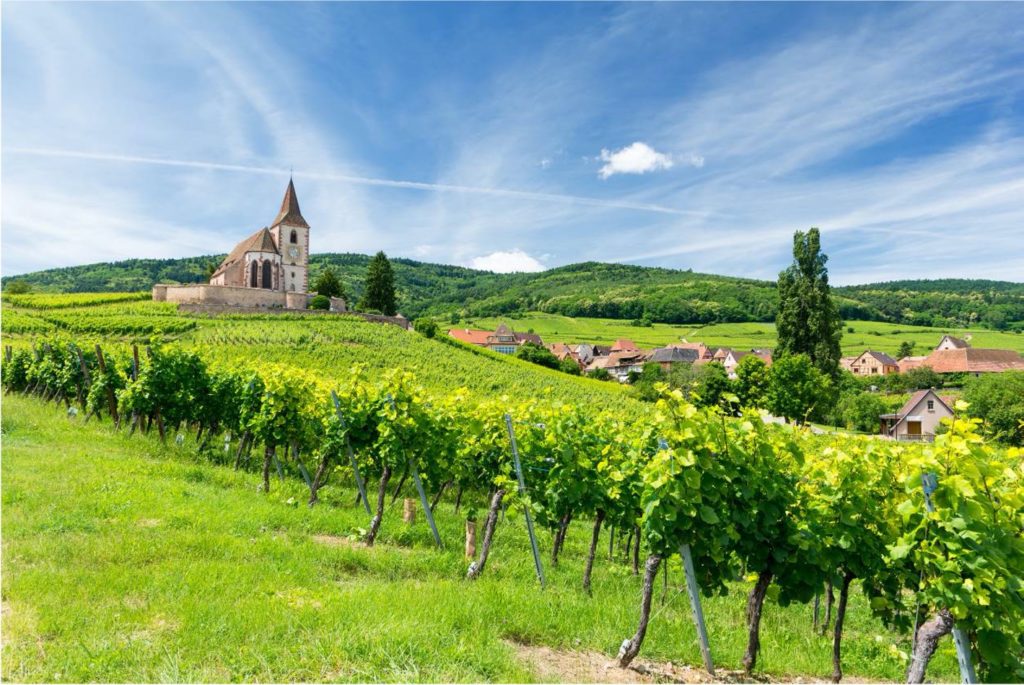 An insider’s guide to wines from Alsace