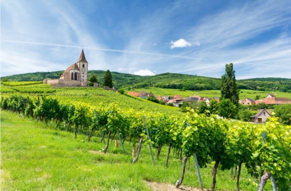 An insider’s guide to wines from Alsace