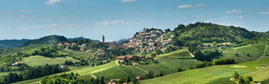 A guide to Piedmont wine: Barolo