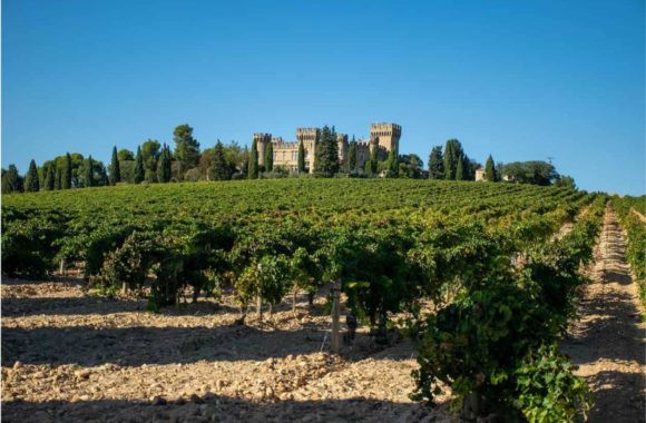 An insider’s guide to Provence rosé