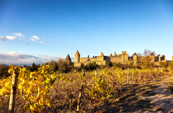 A guide to the red wine of Languedoc-Roussillon