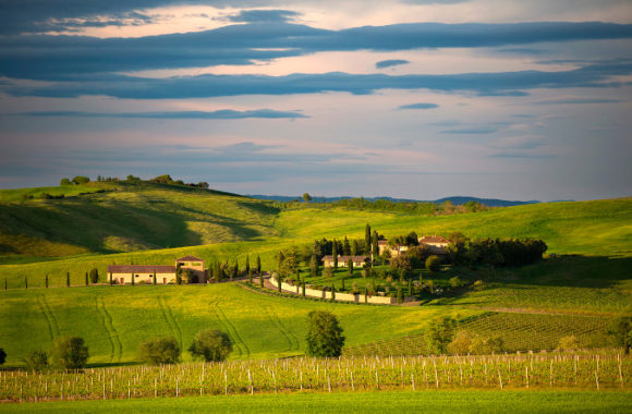 How to choose a Montalcino wine