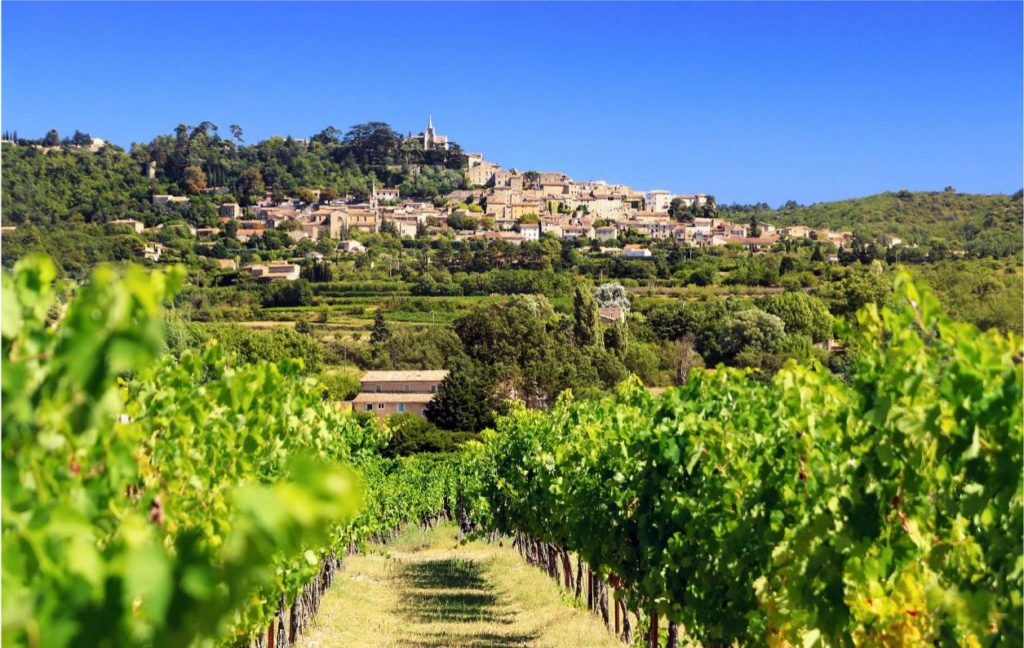 An insider’s guide to white wines from Provence
