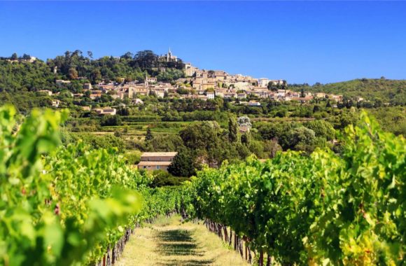 An insider’s guide to white wines from Provence
