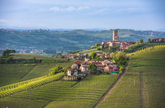 Piedmont wine regions: Barolo vs Barbaresco