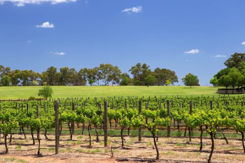 An insider’s guide to wine from Western Australia