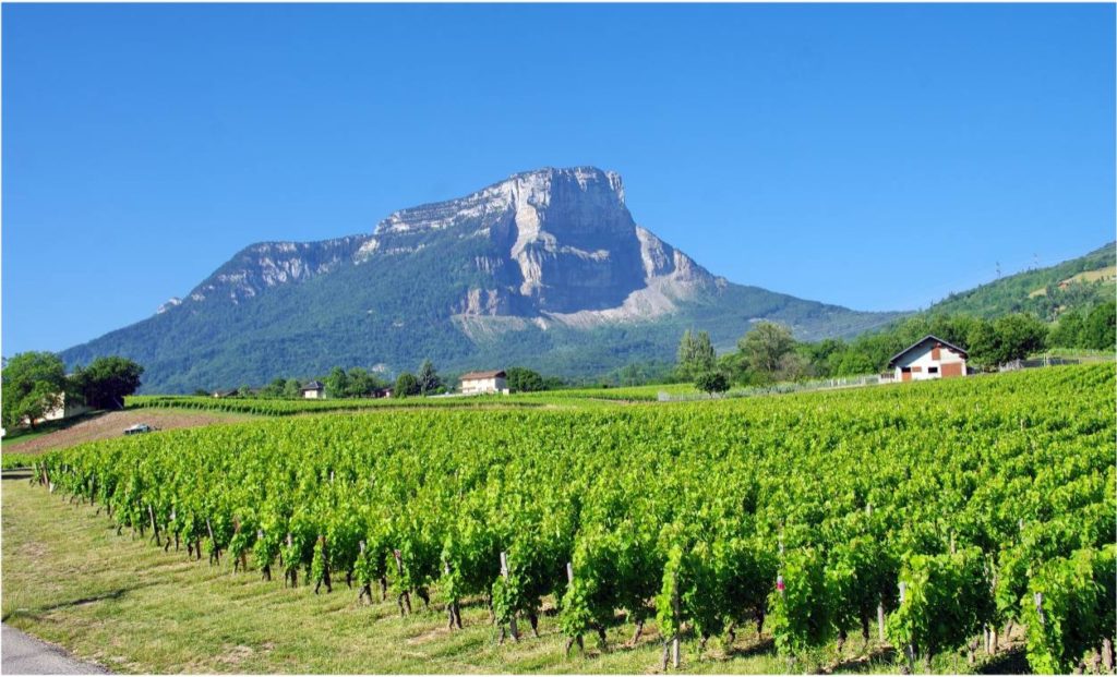 An insider’s guide to Savoie wine