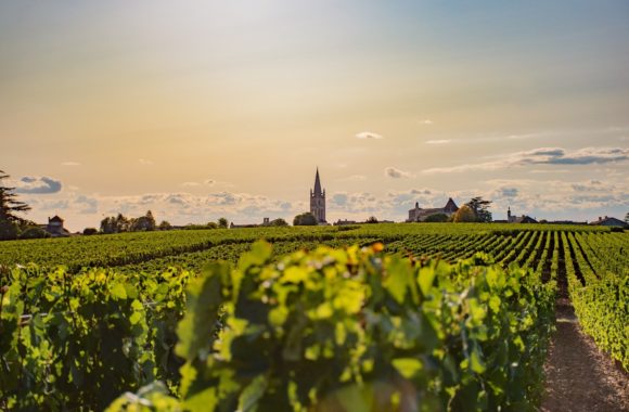 An insider’s guide to Bordeaux: Saint-Émilion wine