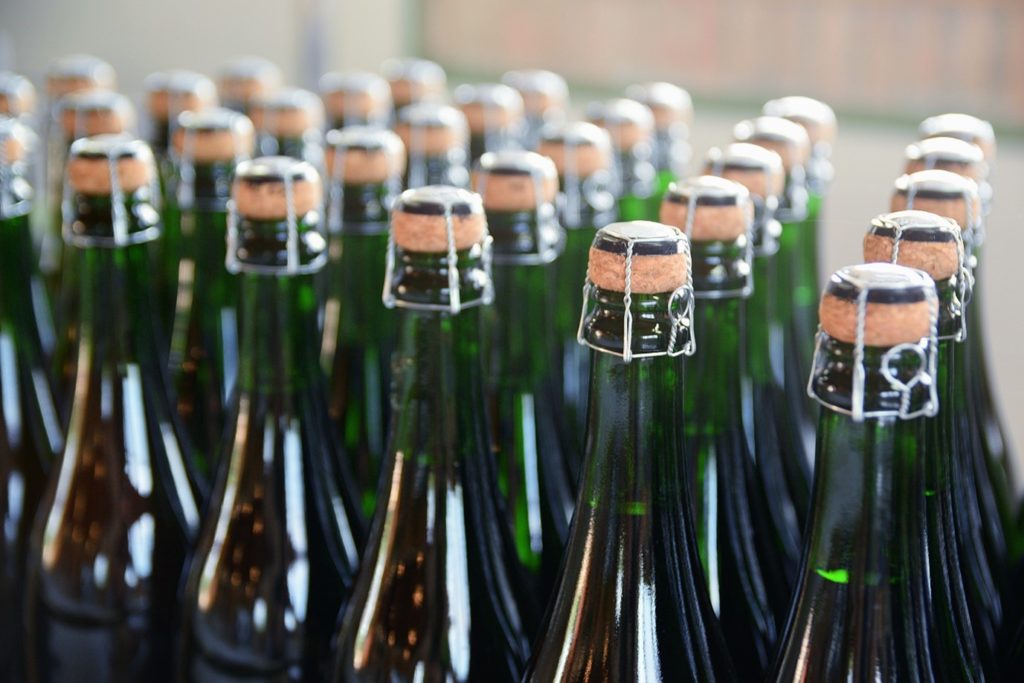 Many rows of corked Cava bottles are ready for labelling; these are soon to be sold commercially.