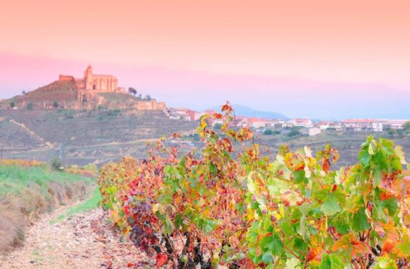 An insight into Spanish wine regions: Rioja