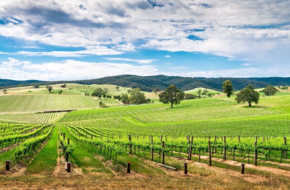 A deep dive into wine from South Australia: Eden Valley