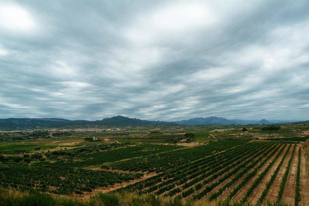 An insight into Spanish wine regions: Terra Alta