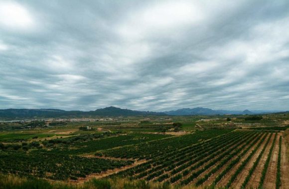 An insight into Spanish wine regions: Terra Alta