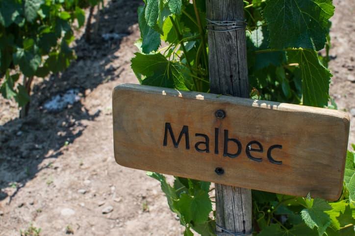 How to Choose the Best Malbec Wine | A Full Buyer's Guide