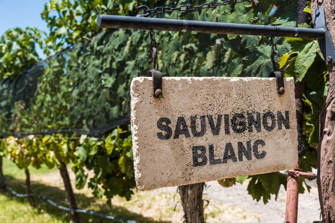 Sauvignon Blanc sign hanging outside a vineyard